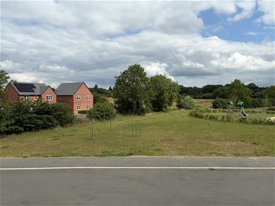 Picture 29